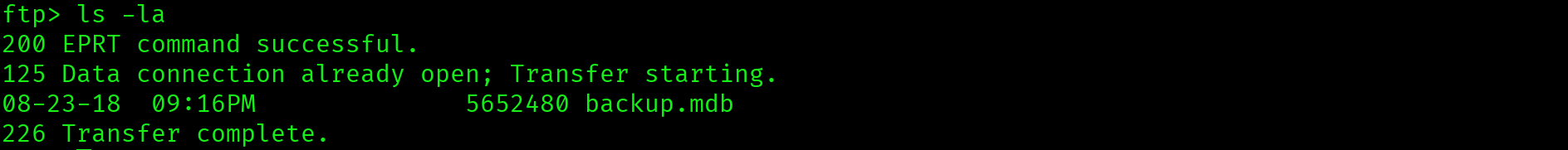 Backups directory containing backup.mdb file