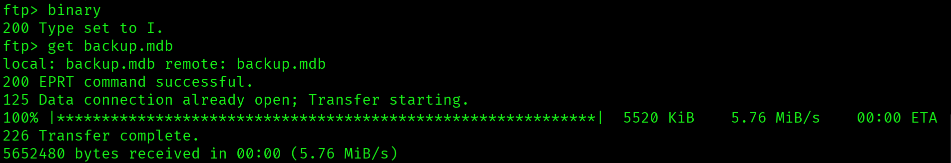 Downloading backup.mdb in binary mode via FTP